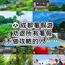 成都大熊猫繁育研究基地 - 成都市旅游 缩略图 1