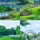 成都大熊猫繁育研究基地 - 成都市旅游 缩略图 3