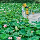 驿山祖庙 - 温州市旅游 缩略图 5