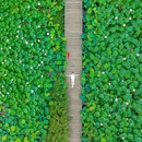 驿山祖庙 - 温州市旅游 缩略图 4
