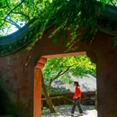 蒙顶山风景名胜区 - 雅安市旅游 缩略图 5