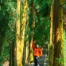 蒙顶山风景名胜区 - 雅安市旅游 缩略图 1