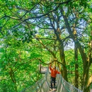 蒙顶山风景名胜区 - 雅安市旅游 缩略图 3