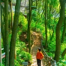 蒙顶山风景名胜区 - 雅安市旅游 缩略图 4