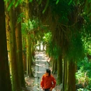 蒙顶山风景名胜区 - 雅安市旅游 缩略图 7