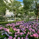 上海环球港 - 上海市旅游 缩略图 5