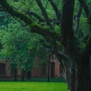 中山大学(广州校区南校园)-小北门 - 广州市旅游 缩略图 3