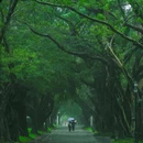 中山大学(广州校区南校园)-小北门 - 广州市旅游 缩略图 2