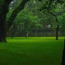 中山大学(广州校区南校园)-小北门 - 广州市旅游 缩略图 5