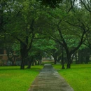 中山大学(广州校区南校园)-小北门 - 广州市旅游 缩略图 8