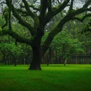 中山大学(广州校区南校园)-小北门 - 广州市旅游 缩略图 6