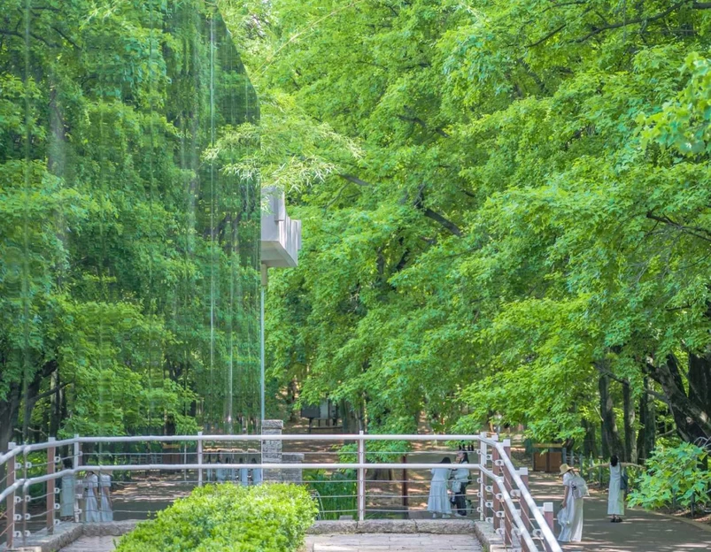 昆明植物园东园 - 昆明市旅游 1