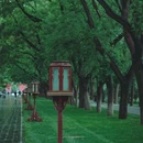 天坛公园-西门 - 北京市旅游 缩略图 2