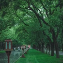 天坛公园-西门 - 北京市旅游 缩略图 3