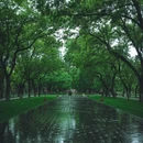 天坛公园-西门 - 北京市旅游 缩略图 8