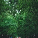 天坛公园-西门 - 北京市旅游 缩略图 6