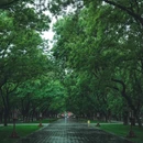 天坛公园-西门 - 北京市旅游 缩略图 9