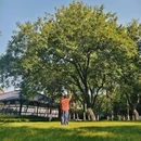 逍遥津公园 - 合肥市旅游 缩略图 6