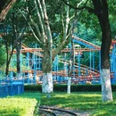 逍遥津公园 - 合肥市旅游 缩略图 4