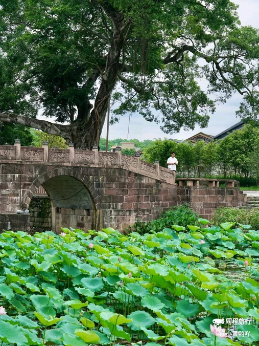 莲塘古村建筑群 - 广州市旅游