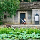 莲塘古村建筑群 - 广州市旅游 缩略图 3