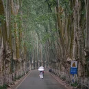 灵谷寺 - 南京市旅游 缩略图 5