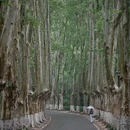 灵谷寺 - 南京市旅游 缩略图 1