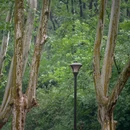 灵谷寺 - 南京市旅游 缩略图 6