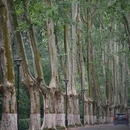 灵谷寺 - 南京市旅游 缩略图 9