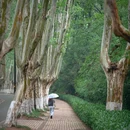 灵谷寺 - 南京市旅游 缩略图 8