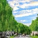 居庸关长城 - 北京市旅游 缩略图 7