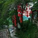 碗窑古村落风景区-苍南碗窑古村 - 温州市旅游 缩略图 2