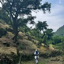香榧森林公园走马岗 - 绍兴市旅游 缩略图 1