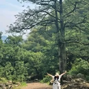 香榧森林公园走马岗 - 绍兴市旅游 缩略图 2