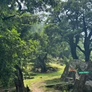 香榧森林公园走马岗 - 绍兴市旅游 缩略图 7