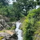 香榧森林公园走马岗 - 绍兴市旅游 缩略图 9