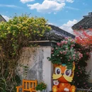 震泽古镇 - 苏州市旅游 缩略图 5
