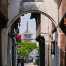 震泽古镇 - 苏州市旅游 缩略图 6