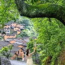 松庄村 - 丽水市旅游 缩略图 2