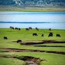 丽江玉水寨风景区 - 丽江市旅游 缩略图 8
