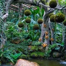 青秀山风景区 - 南宁市旅游 缩略图 4