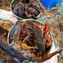 井里海鲜自助旗舰店(观音桥店) - 重庆市旅游 缩略图 5