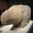 成都博物馆 - 成都市旅游 缩略图 3