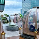 清莱湾 CHIN RAI(环贸iapm店) - 上海市旅游 缩略图 9