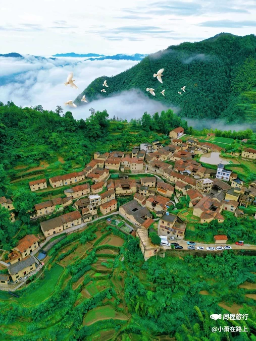 塘后村 - 丽水市旅游