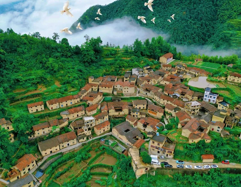 塘后村 - 丽水市旅游 1