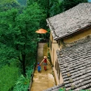 塘后村 - 丽水市旅游 缩略图 5