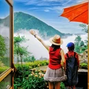 塘后村 - 丽水市旅游 缩略图 9