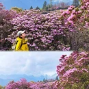 香格里拉云极野奢民宿 - 迪庆藏族自治州旅游 缩略图 5