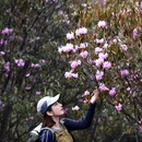 香格里拉云极野奢民宿 - 迪庆藏族自治州旅游 缩略图 4